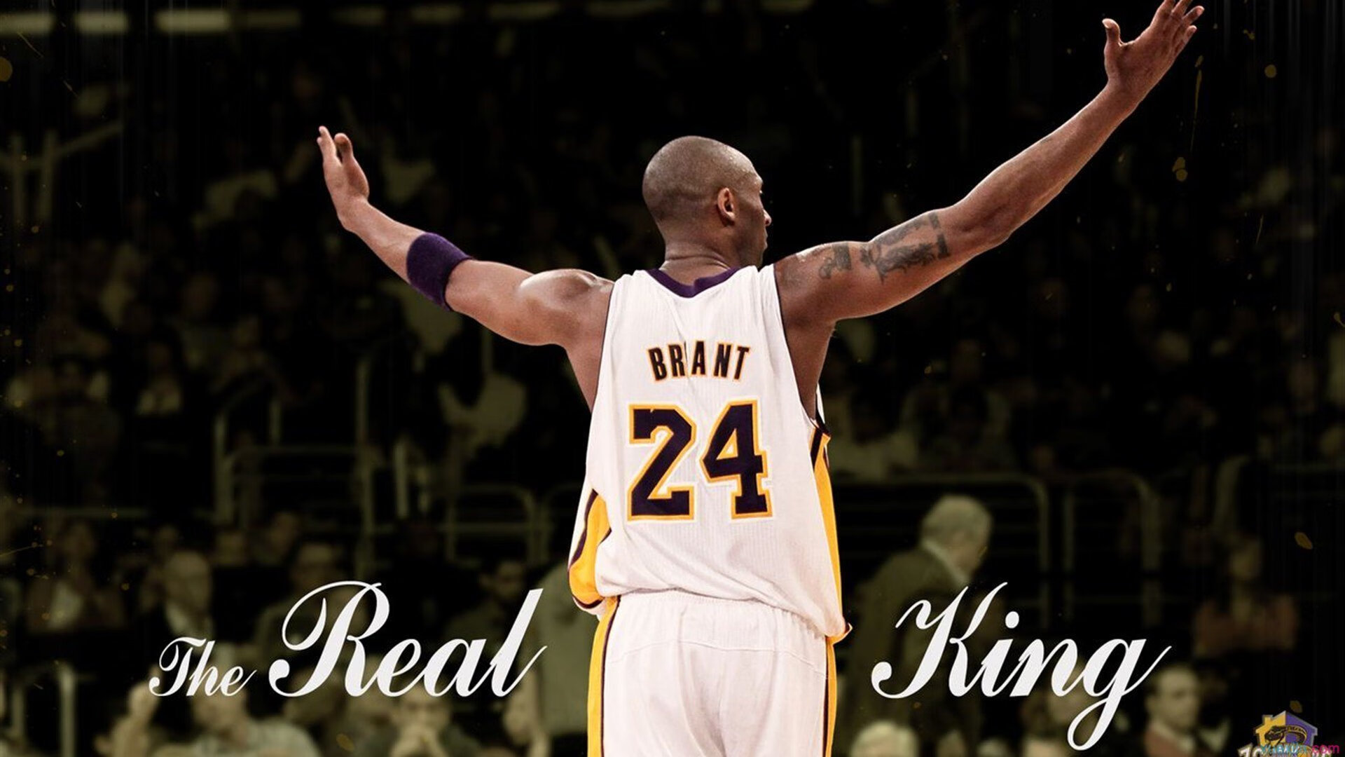 黄蜂制霸尼克斯，英格拉姆攻防转换核心的崛起